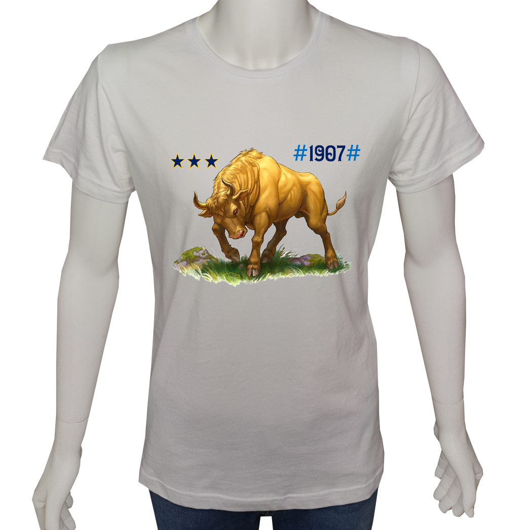 Unisex T-shirt Beyaz 'Fanatik Taraftar/FB6' Baskılı
